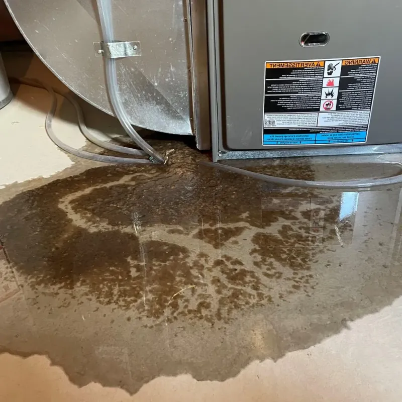 Pipe Burst and Leak Restoration in Allendale, NJ